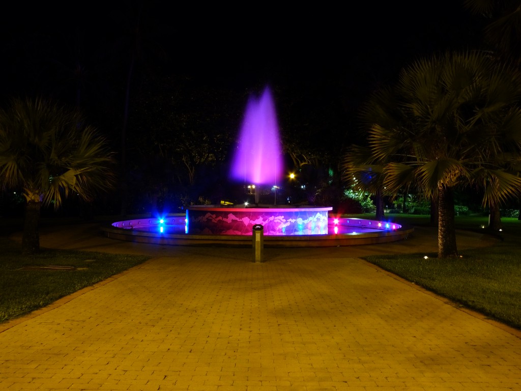 DSCF9661