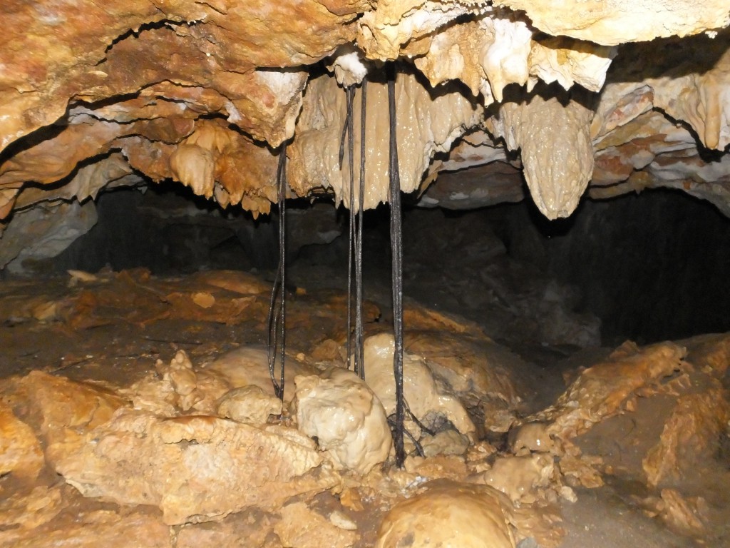 DSCF9863