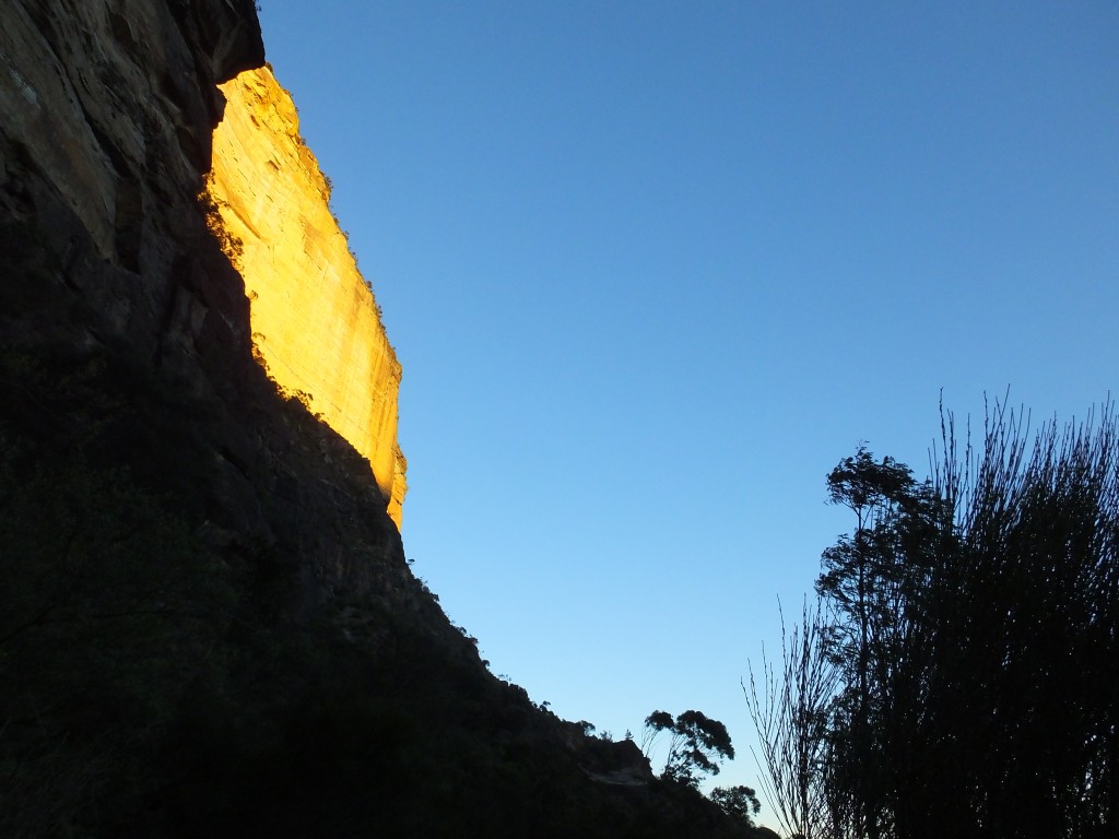 DSCF3198