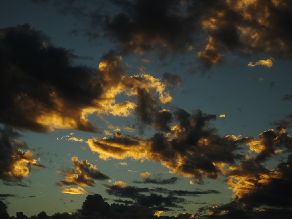 DSCF6673