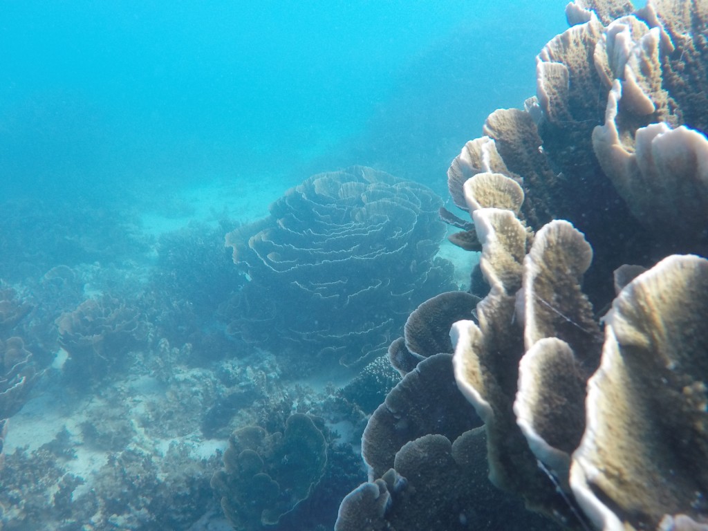 DCIM102GOPROGOPR3727.