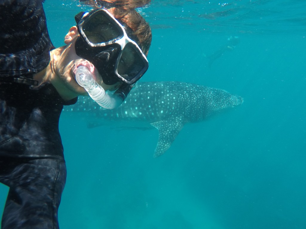 DCIM100GOPROGOPR3862.