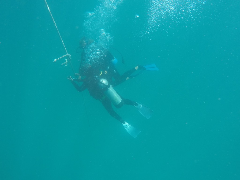 DCIM100GOPROGOPR3979.