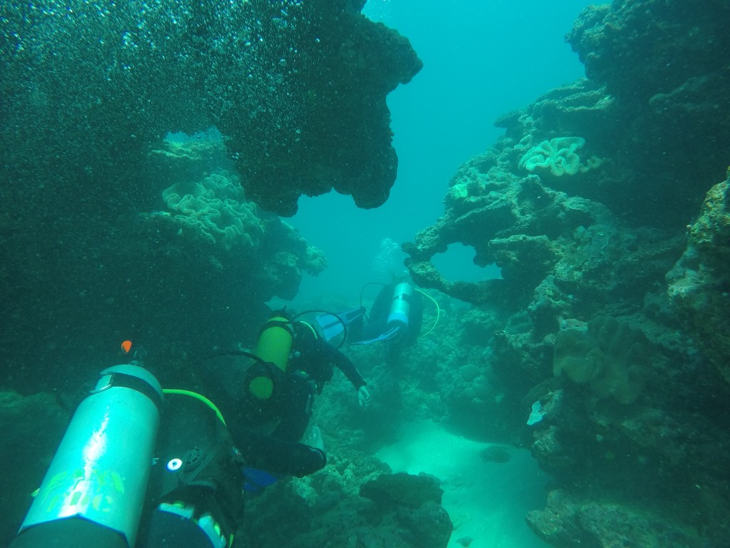 DCIM100GOPROGOPR4087.