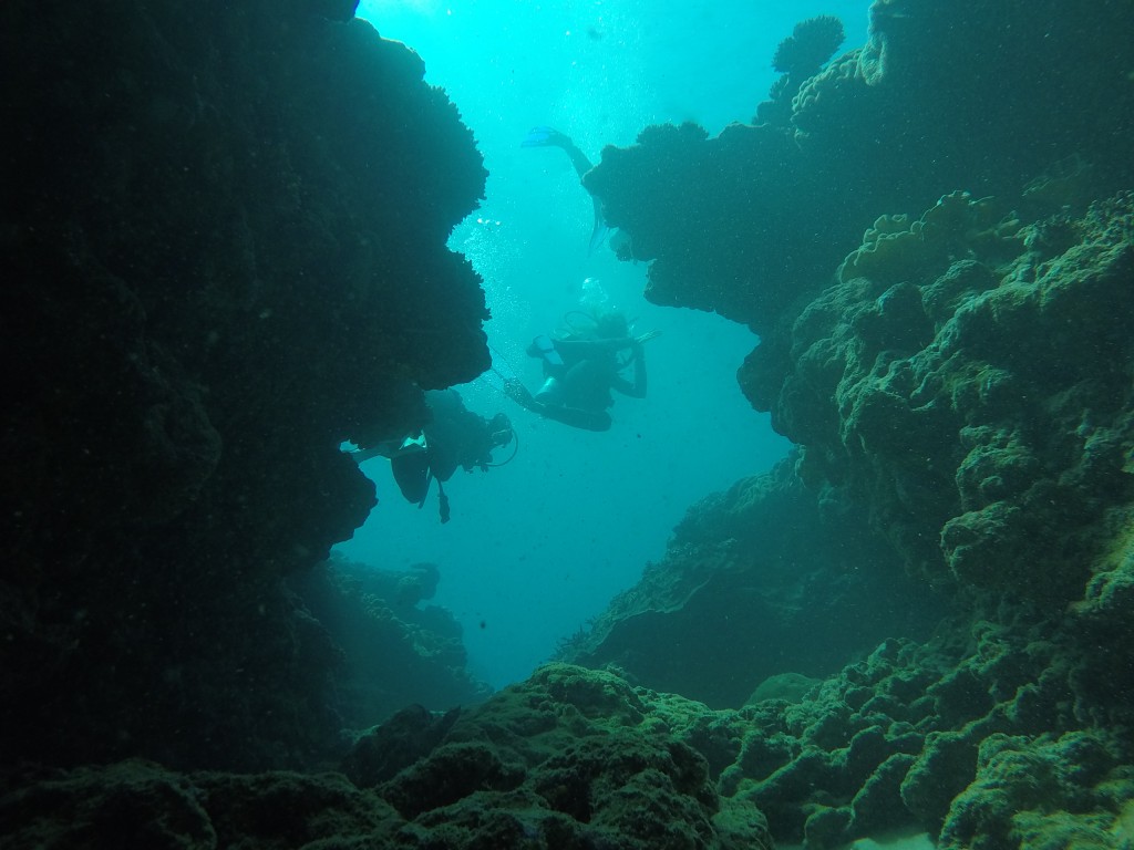 DCIM100GOPROGOPR4123.