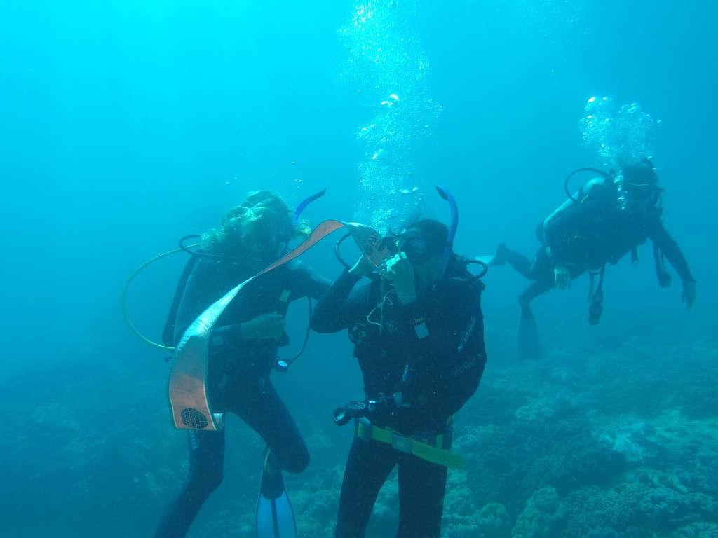DCIM100GOPROGOPR4137.