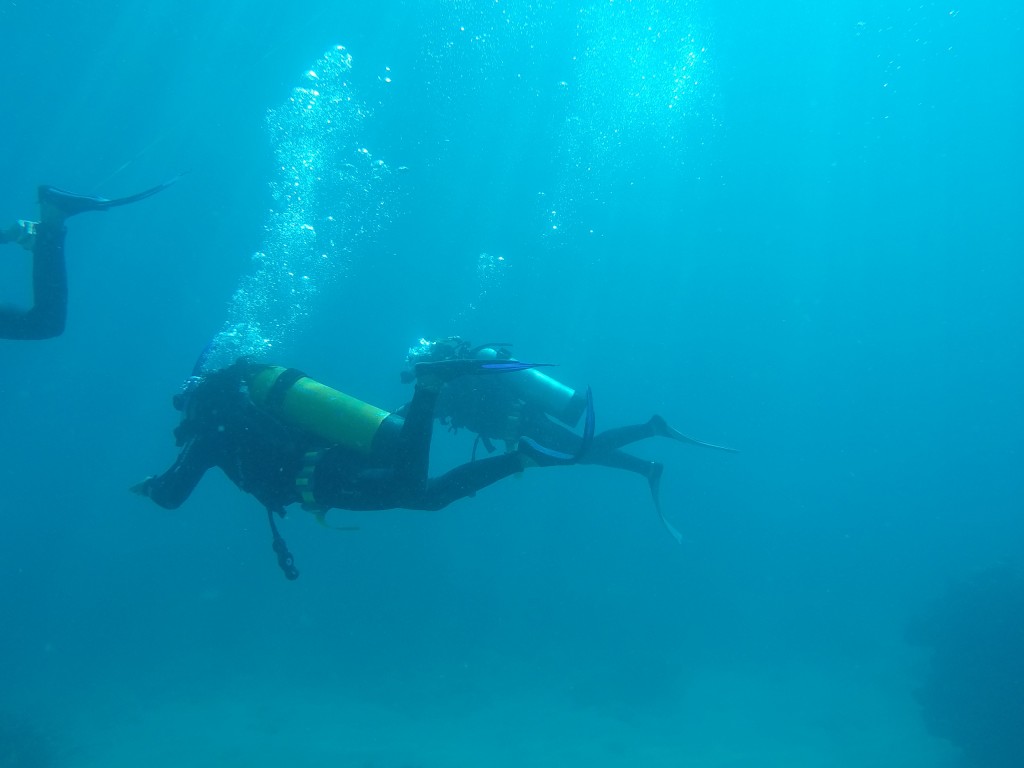 DCIM100GOPROGOPR4140.
