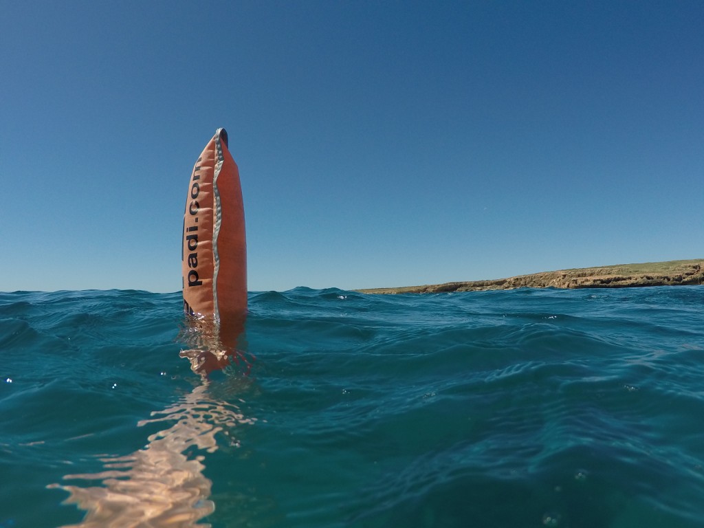 DCIM100GOPROGOPR4144.