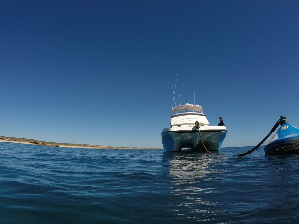 DCIM100GOPROGOPR4145.