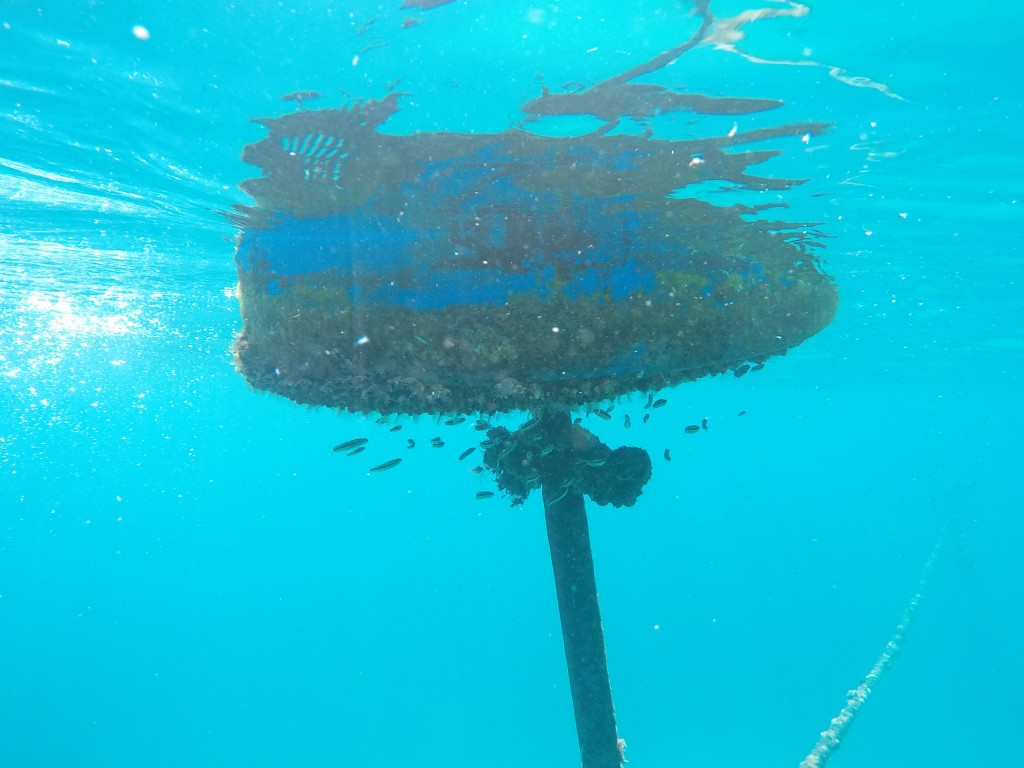 DCIM100GOPROGOPR4148.