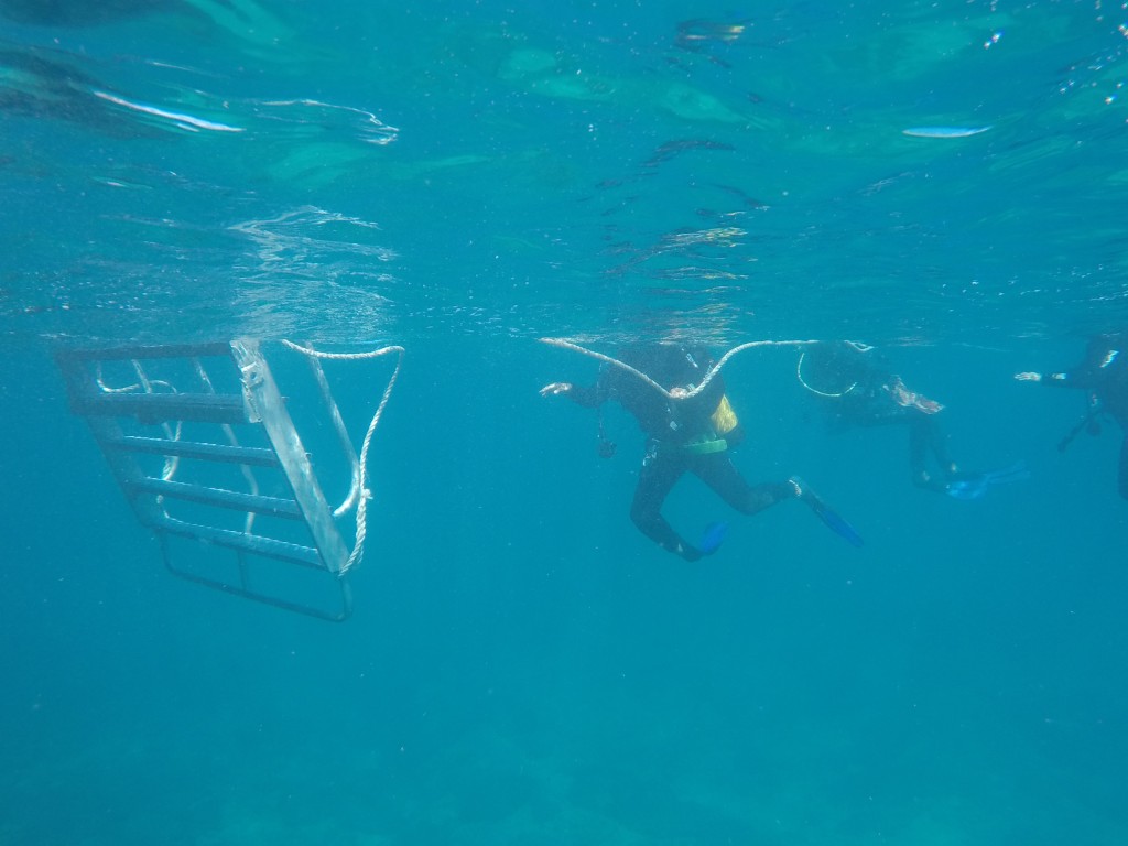 DCIM100GOPROGOPR4150.