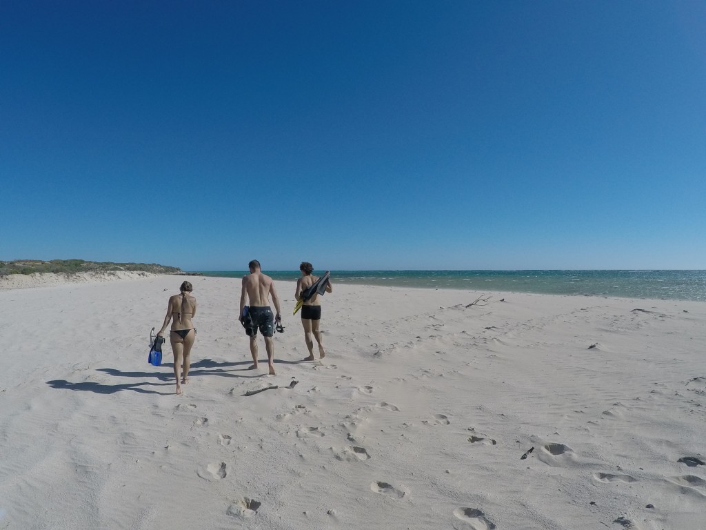 DCIM100GOPROGOPR4246.